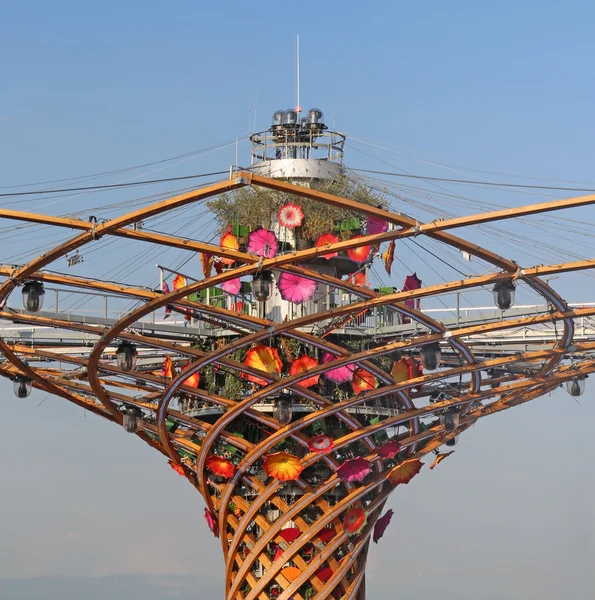 Mediolan, Włochy - 8 września, 2015. Expo Milano 2015. Drzewa li — Zdjęcie stockowe