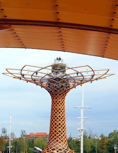 Milano, Italia - 8 settembre 2015. EXPO MILANO 2015. Albero di Li — Foto Stock