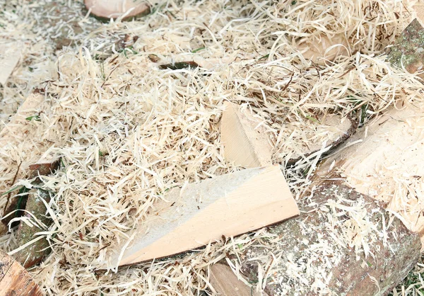 Snijden van houtsnippers tijdens het verspanen van de romp — Stockfoto
