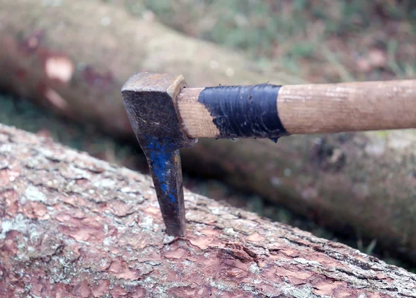Velké Harpuna dřevorubec přetáhnout kmeny stromů — Stock fotografie