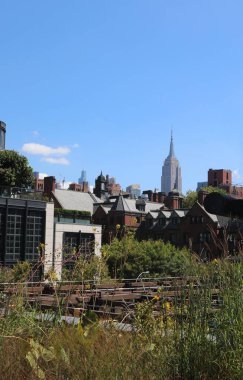 New York, New York, ABD - 25 Ağustos 2025: Chelsea Mahallesi 'ndeki yüksek sınır denilen kasık parkından Empire State Binası' nın manzarası