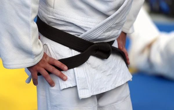 Mistr Karate s černý pás a kimono — Stock fotografie