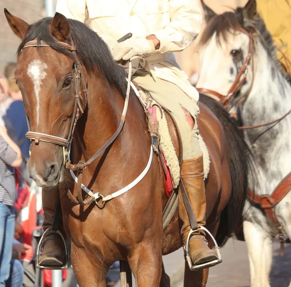 Cowboy met lederen laarzen rijdt het paard — Stockfoto