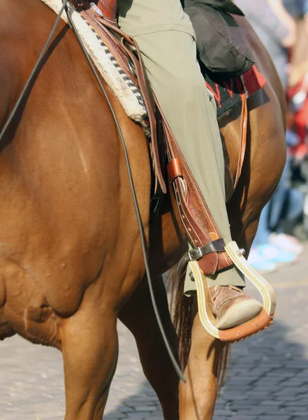 Pie de vaquero en el estribo del caballo durante el paseo —  Fotos de Stock