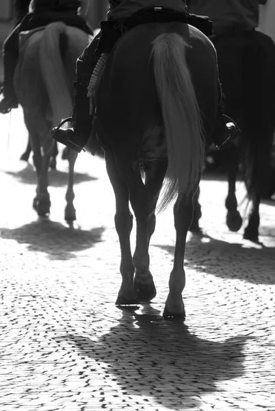 Skupina koní s kovbojové na západu slunce podsvícení — Stock fotografie