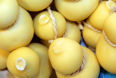 gıda pazarına satışa scamorza peynir