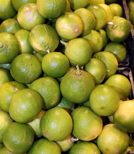 Bergamia cítricos o bergamota verde para la venta — Foto de Stock