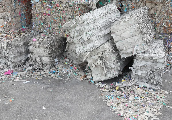 Rec üretimi için kağıt fabrikası atık kağıt yığınları — Stok fotoğraf