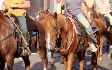 Üzengi kovboy ayağından at