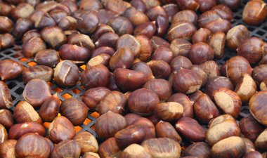 bir sokak satıcısından yanıyor kavrulmuş kestane