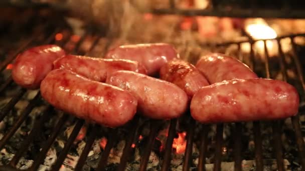 Smoked  sausages are cooked on the grill of the fireplace — Stock Video