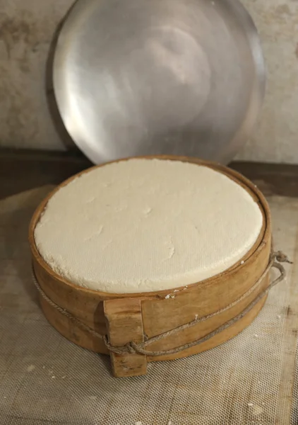 Verse kaas met oude houten schimmel — Stockfoto
