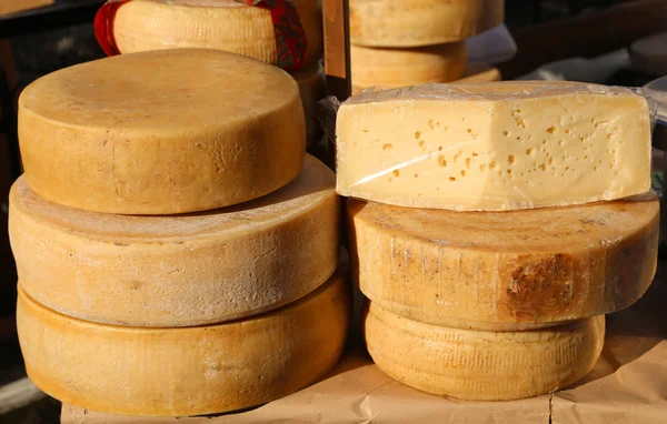 Cheeses and aged cheeses on sale in the food market — Stock Photo, Image