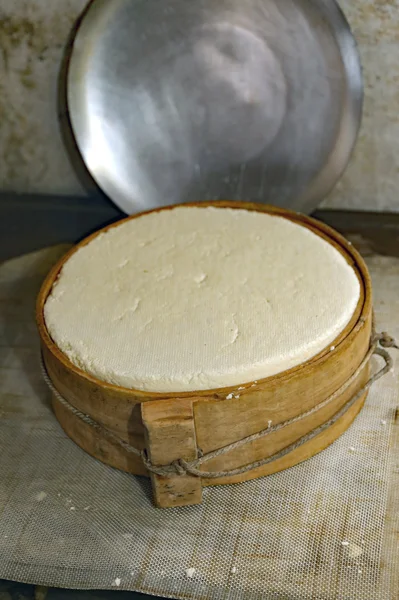 Fresh cheese with ancient wooden mold in the dairy — Stock Photo, Image