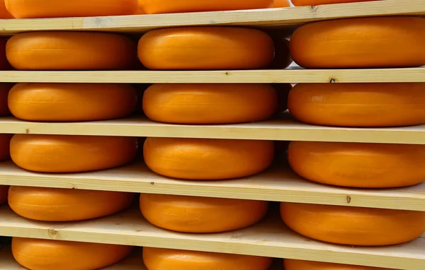 Delicious Dutch cheese in cheese ripening in amsterdam — Stock Photo, Image