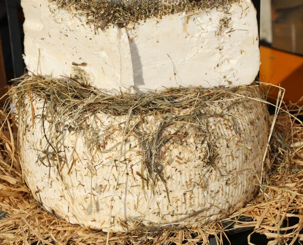 Genuine alpine cheese is aged between hay and straw — Stock Photo, Image