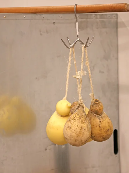 Many caciocavallo cheeses hanging with string for sale on the It — Stock Photo, Image