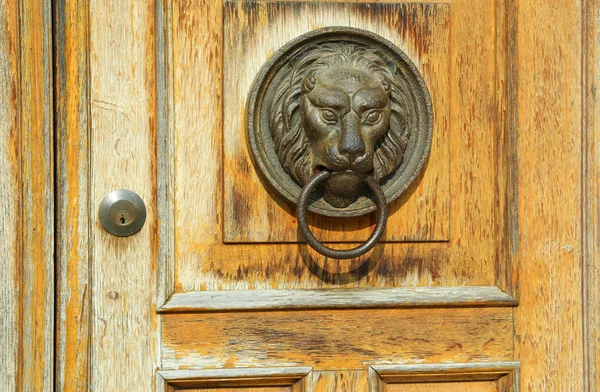 たてがみとライオンの頭の形をした芸術的なノッカー — ストック写真