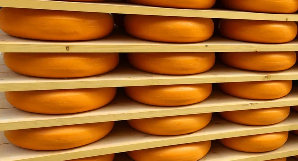 Many forms of orange cheese in the dairy — Stock Photo, Image