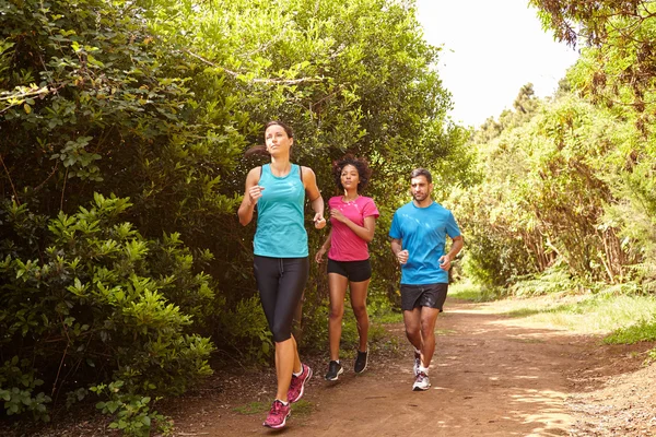 Drie joggers lopen leuk trail — Stockfoto