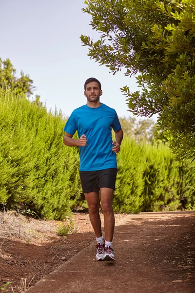 young male jogger on run - Stock Image - Everypixel