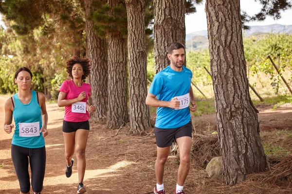 Three runners in cross country — Stock Photo, Image