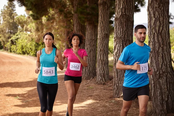 Três corredores de maratona cross country — Fotografia de Stock