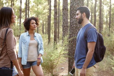 Çam ormanı içinde sohbet arkadaş