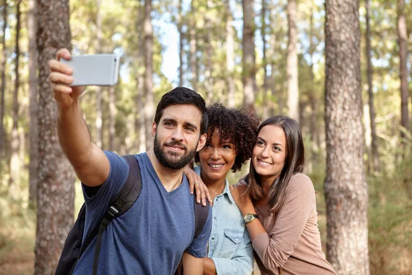 소나무 숲에서 selfies를 복용 — 스톡 사진