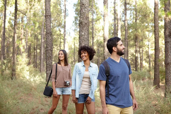 Riendo amigos felices en el bosque — Foto de Stock