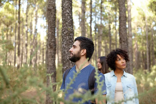 Thoughtful friends on forest stroll — Stock Photo, Image