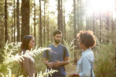 Çam ormanı içinde konuşan arkadaşlar