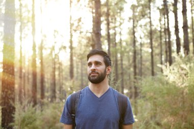 Genç adam orman arıyorsunuz