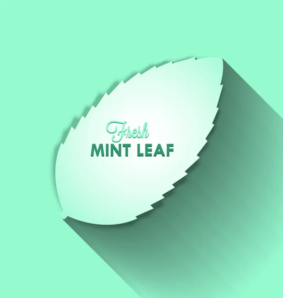 Mint leaf — Stock Vector