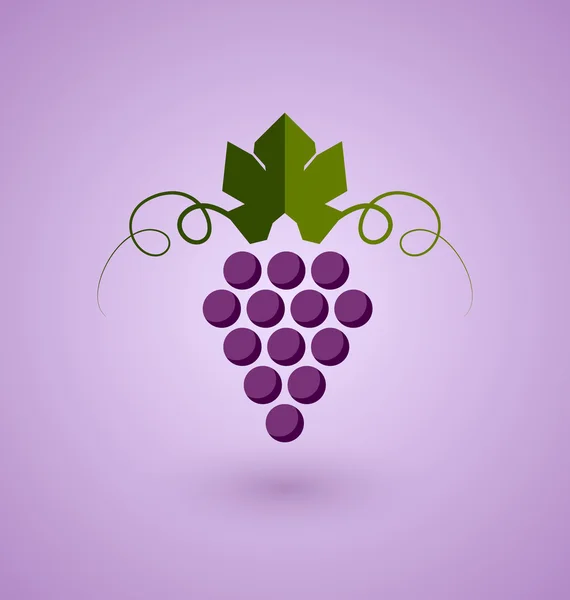 Red grape — Stock Vector