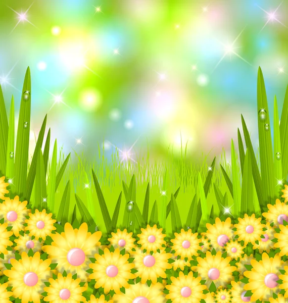 Våren gräs — Stock vektor