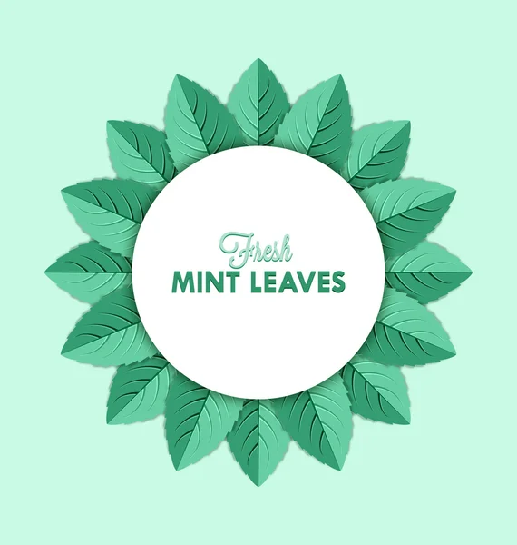 Mint leaves — Stock Vector