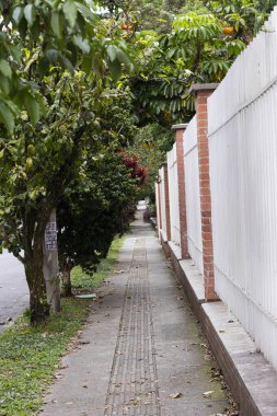 Medellin şehrinin kaldırımında kaybolma noktasında caddeyi çevreleyen bitkiler ve beyaz çubuklarla yürümek için.