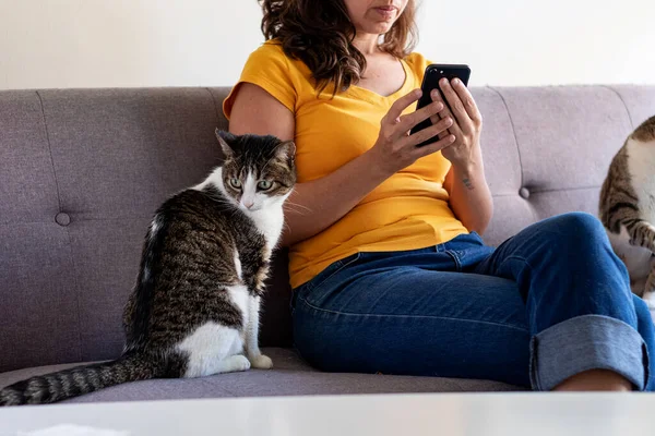 Sarı tişörtlü kadın bacak bacak üstüne atmış, cep telefonuyla oynuyor ve yanında birkaç kedi var.