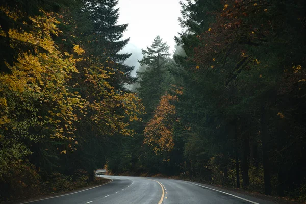 Фото Дороги Штате Орегон Осенью — стоковое фото