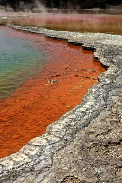 Rotorua şampanya Havuzu