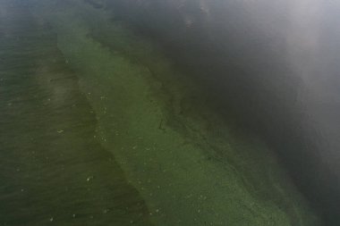 Modern göllerde kirli su, ekoloji ölüyor. Yüksek kalite fotoğraf