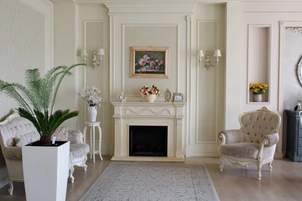 Odadaki kanepe ve yeşil saksılar. Yüksek kalite fotoğraf