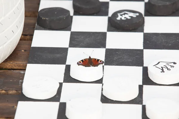 Ev yapımı satranç tahtası ve kelebek. Yüksek kalite fotoğraf