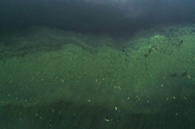 Modern göllerde kirli su, ekoloji ölüyor. Yüksek kalite fotoğraf