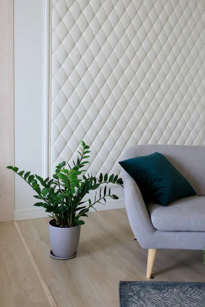 Odadaki kanepe ve yeşil saksılar. Yüksek kalite fotoğraf