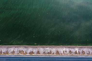 Karayolu yakınında kirli su, set bölgesi. Yüksek kalite fotoğraf