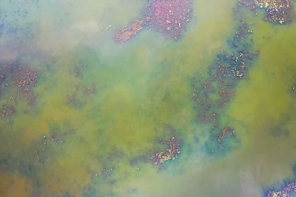 Грязная вода в современных озерах, экология умирает — стоковое фото