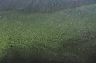 Modern göllerde kirli su, ekoloji ölüyor