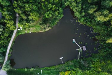 Lake Forest birası Sonbahar yeşillikleri